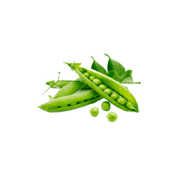 Product thumb gallery 2039