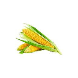 Product thumb gallery 2095